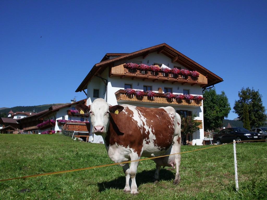 Ferienwohnung Rosenheim Meransen Exterior foto